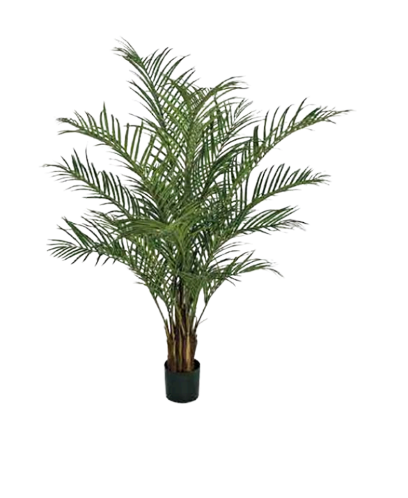Faux Acre Palm 60"