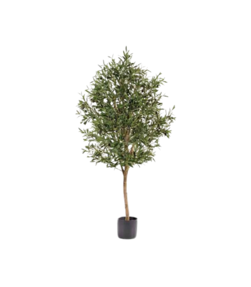 Faux Olive Tree 60"