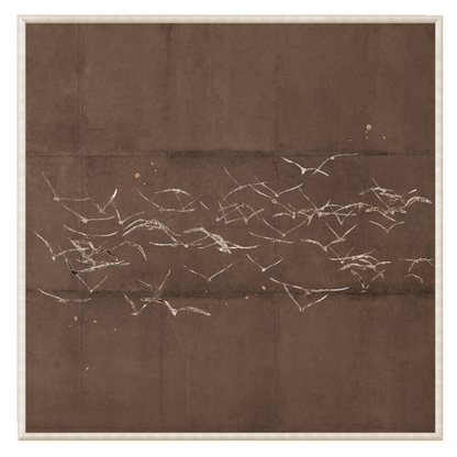 Fleeting Moment Series