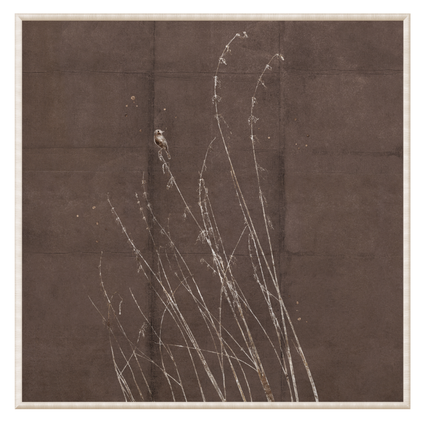 Fleeting Moment Series