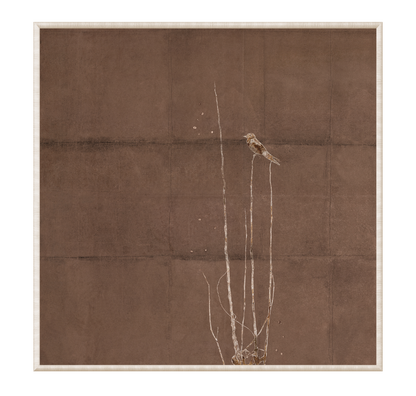 Fleeting Moment Series