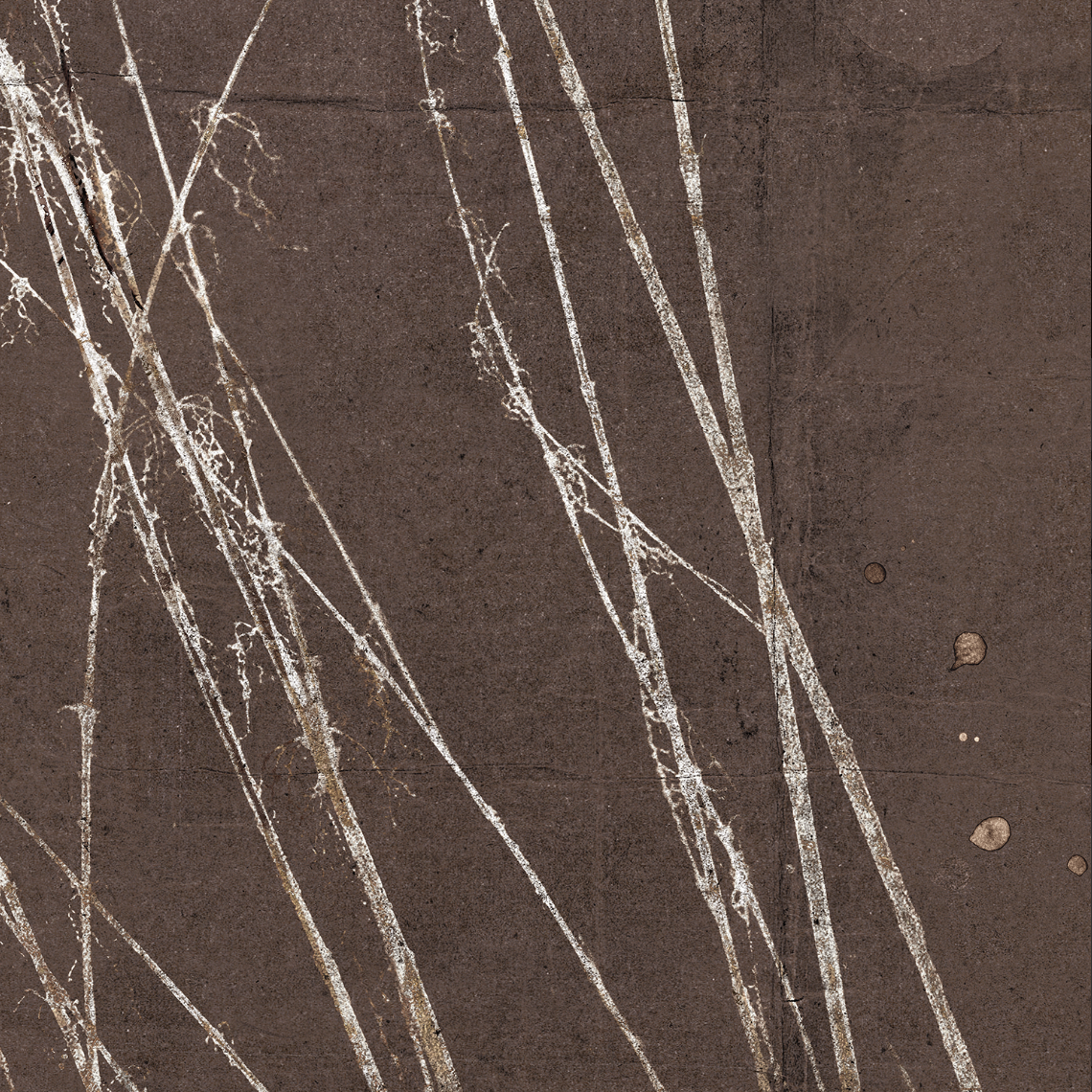 Fleeting Moment Series