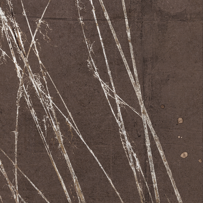 Fleeting Moment Series