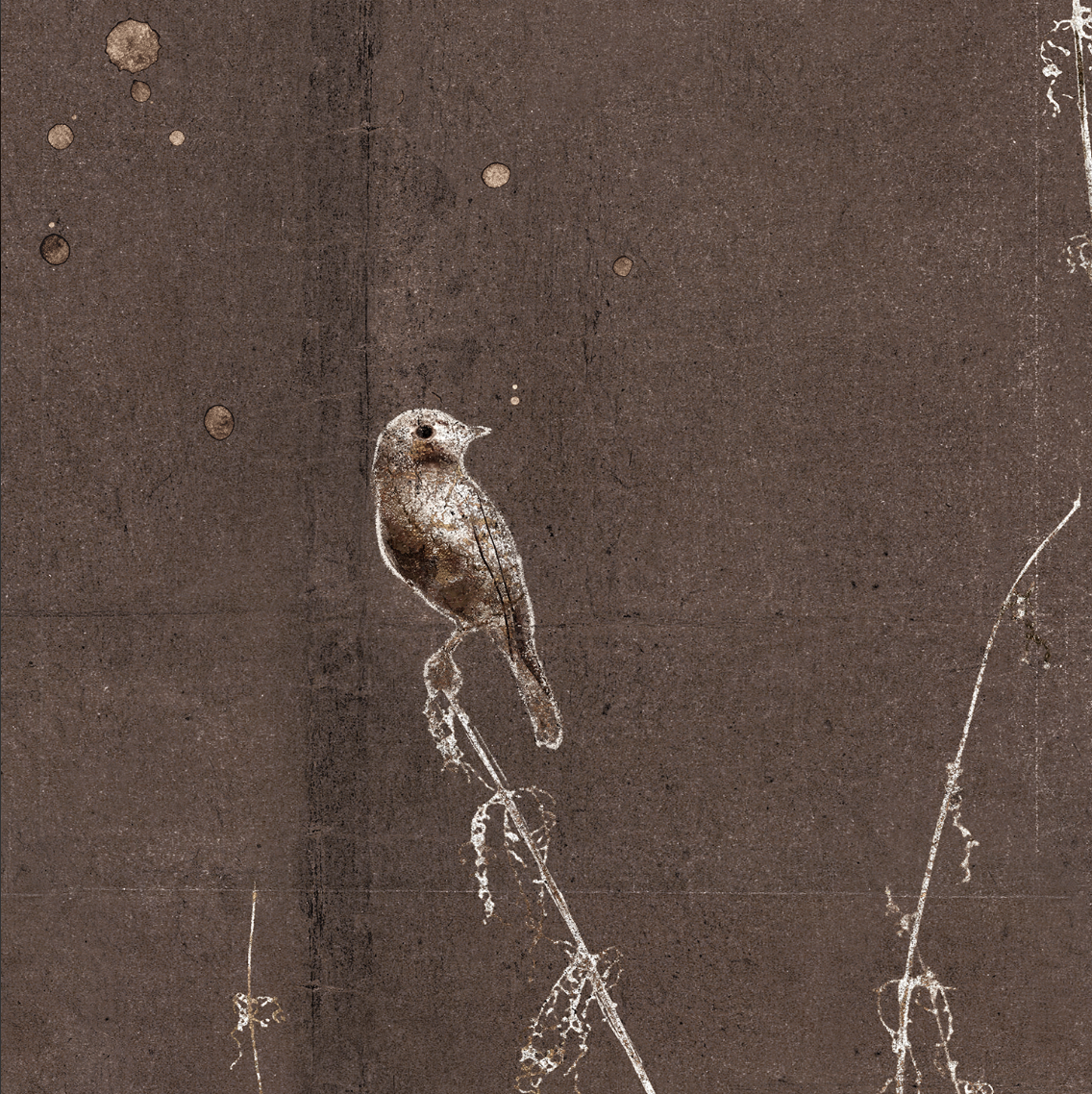 Fleeting Moment Series