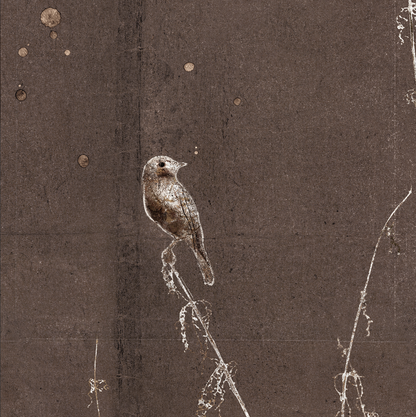 Fleeting Moment Series