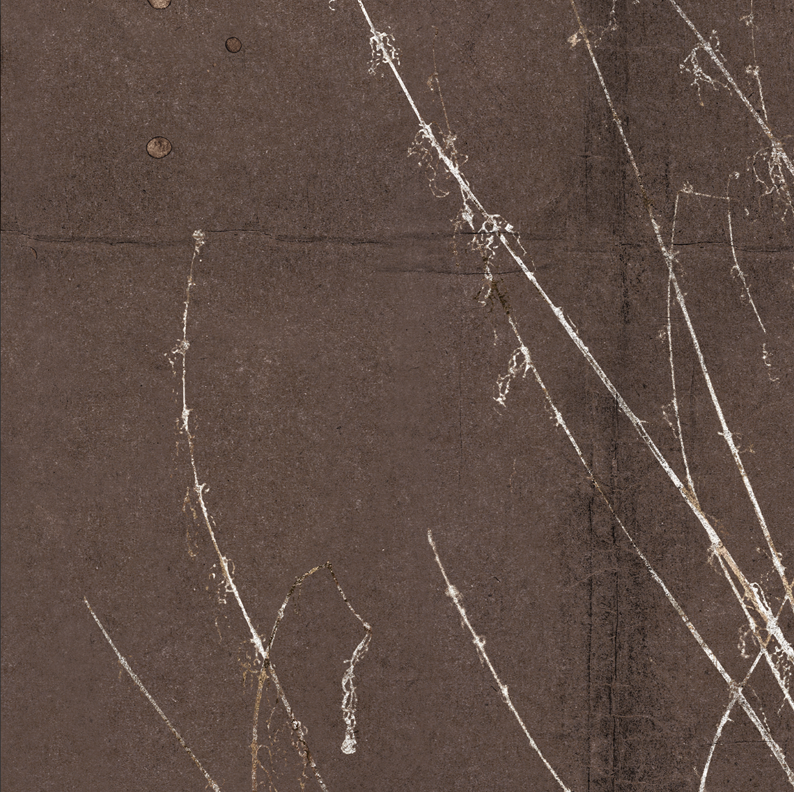 Fleeting Moment Series