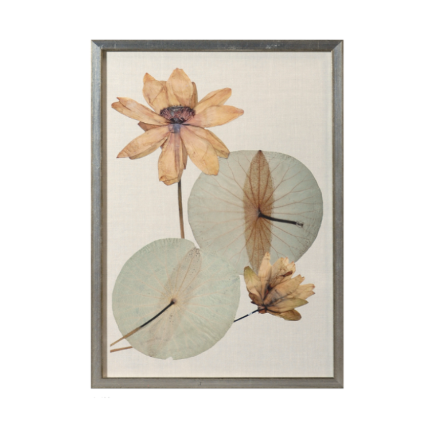Herbarium Pressings Series