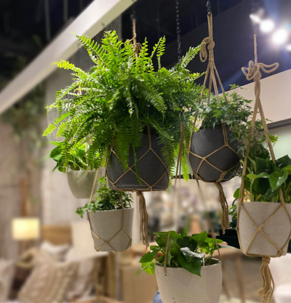 Craft Hanging Pot