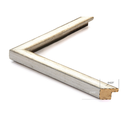 Herbarium Pressings Series