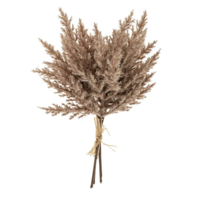 Mini Dried Pampass Grass Bundle, Light Brown